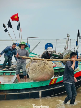 Ngư dân trúng đậm 'lộc biển' đầu năm 