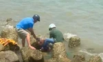 Phát hiện thi thể nam giới trôi dạt ở kè biển Phan Thiết