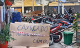 Cây cao 20m bật gốc sau giông lốc, uy hiếp hàng chục hộ dân Thanh Đa