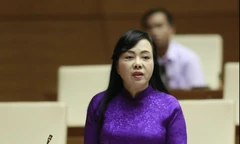 Cựu Bộ trưởng Nguyễn Thị Kim Tiến cùng các bị can khắc phục hậu quả hơn 44 tỷ đồng