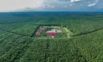 Cao su Chư Sê - Kampong Thom và cuộc chuyển mình mạnh mẽ
