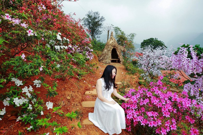 Lên Tây Thiên ngắm đỗ quyên