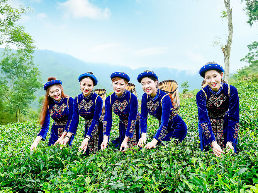 Thí sinh iMiss Thăng Long rạng rỡ sắc áo dân tộc bên đồi chè