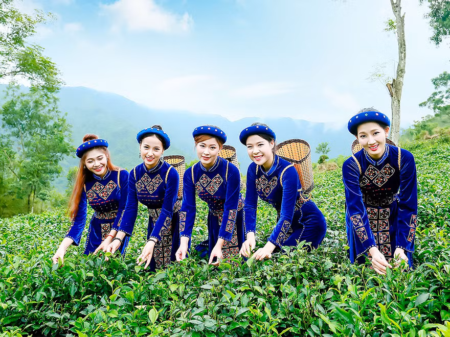 Thí sinh iMiss Thăng Long rạng rỡ sắc áo dân tộc bên đồi chè