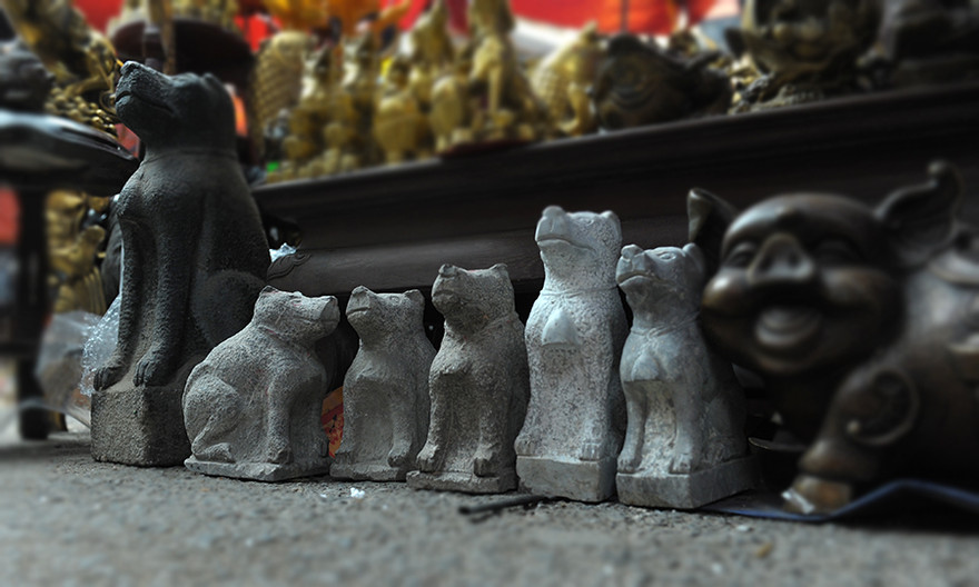 Cún đồng, cún đá lên ngôi chợ Viềng Hà Nội