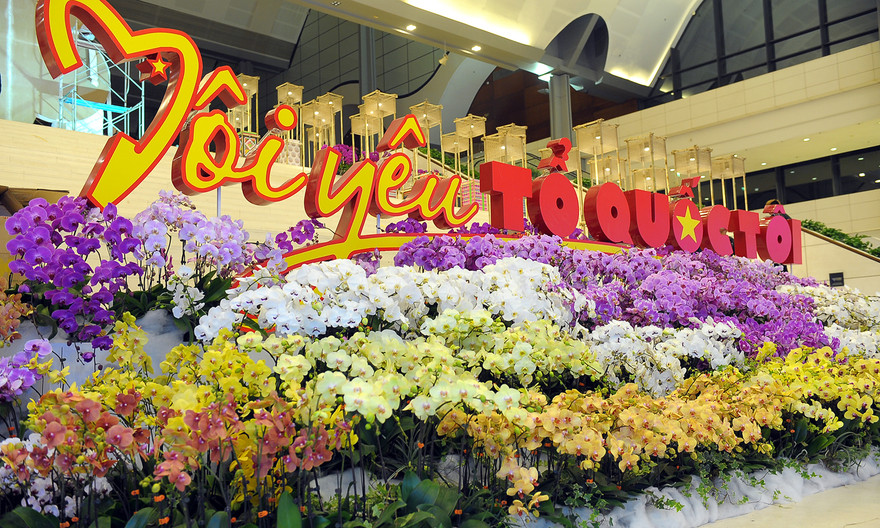 1.200 cành lan khoe sắc không gian Đại hội Hội LHTN Việt Nam lần thứ VIII