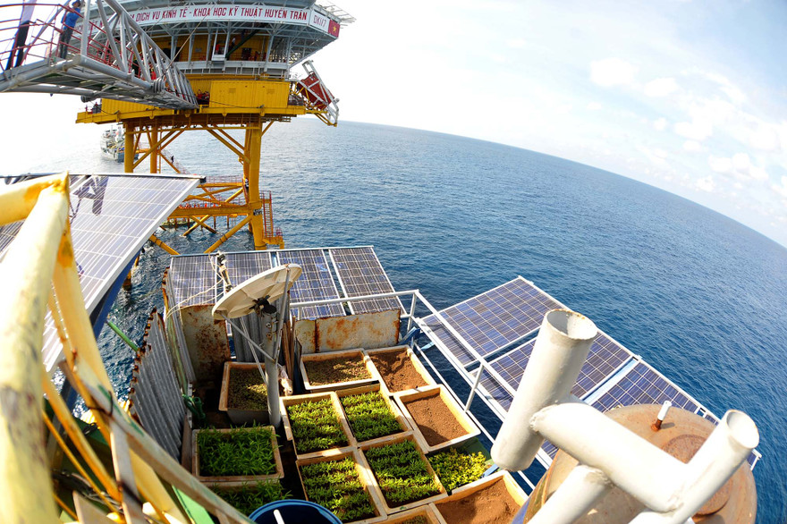 Vườn thanh niên ở Trường Sa và Nhà giàn DK1