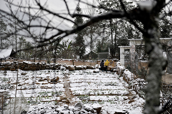 Tê cóng băng tuyết Y Tý, tài xế dội nước sôi khởi động xe