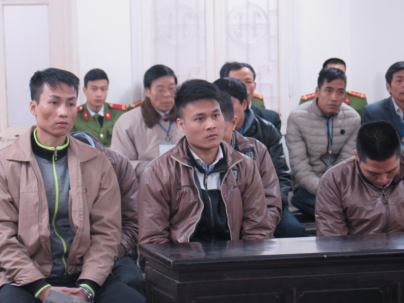 Các bị cáo trong băng nhóm chuyên trộm gỗ sưa.