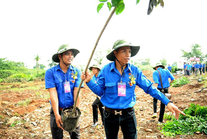 Đại hội có nhiều hoạt động an sinh xã hội, hướng về cộng đồng. (Trong ảnh, các đại biểu Đại hội thanh niên làm theo lời Bác lần thứ V tham gia trồng cây thực hiện công trình thanh niên) Ảnh: Xuân Tùng