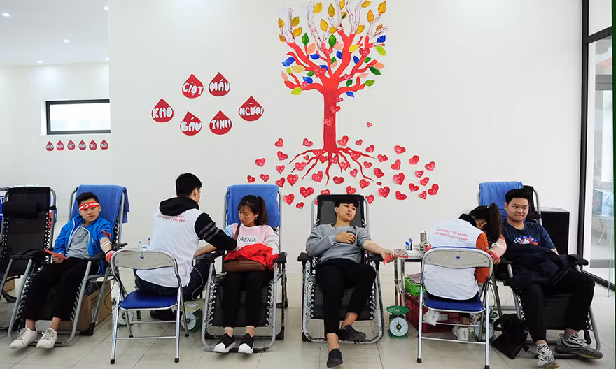 Đông đảo sinh viên hiến máu cứu người trong ngày hội chính Chủ nhật Đỏ