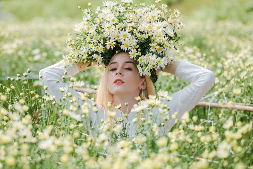 Thiếu nữ phương Tây khoe sắc giữa đồng hoa hoạ mi Hà thành