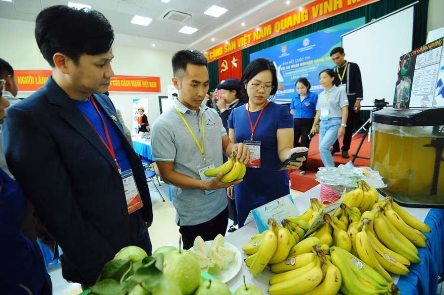 10 dự án khởi nghiệp thanh niên nông thôn xuất sắc nhất khu vực miền Bắc 2020