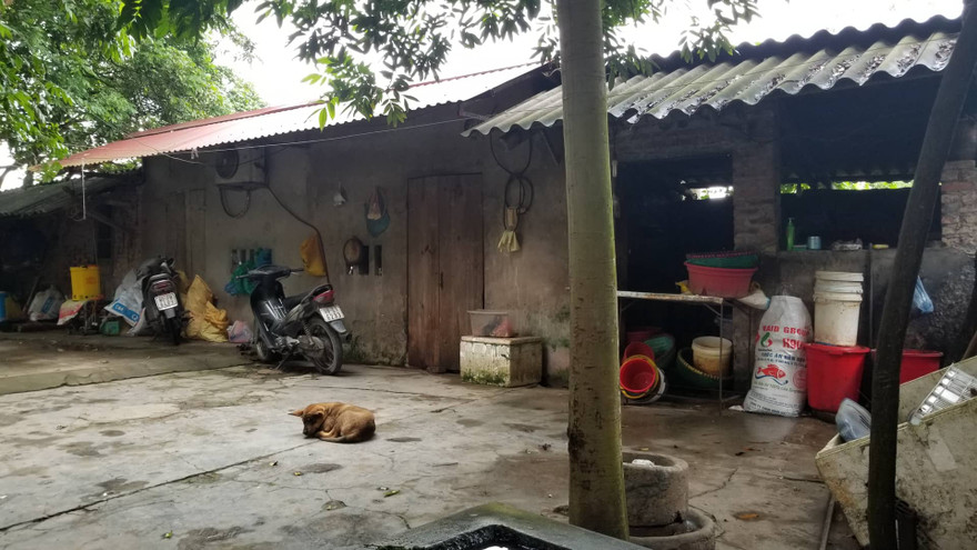 Căn nhà trọ của gia đình cháu Nguyên, phía trước là 1 trong những chú chó của bà An.