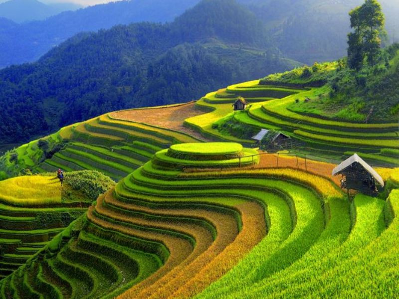 Ruộng bậc thang tại Mù Cang Chải.
