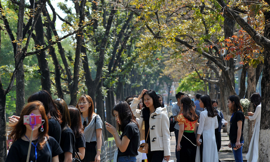Giới trẻ Hà thành rộn ràng tạo dáng với sắc đỏ bằng lăng