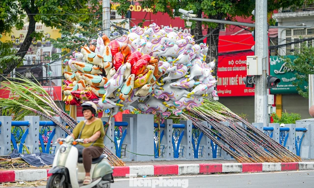 Mía lộc thắt nơ đỏ đổ bộ đường phố Hà Nội chờ Giao thừa