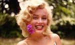Ảnh chưa từng công bố của Marilyn Monroe