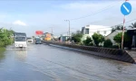 Khẩn cấp sửa đoạn Quốc lộ 1 qua Cần Thơ thường xuyên bị ngập