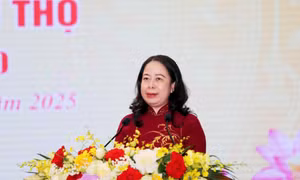 Phó Chủ tịch nước Võ Thị Ánh Xuân: Thi đua yêu nước phải thành động lực cống hiến của cán bộ, công chức