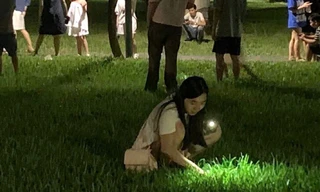 Khách nước ngoài rơi nhẫn kim cương, người dân soi đèn, vạch cỏ tìm giúp trong đêm