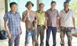 Loài vật lạ bò trong vườn nhà dân, cả làng kéo đến xem