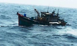 Tàu cá bị cháy, chìm giữa khơi, 53 ngư dân Đà Nẵng nhảy xuống biển