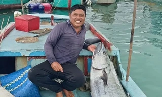 Ngư dân câu được 'quái vật' cá thu gần 60 kg