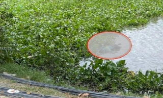 Tìm cô gái nghi nhảy cầu tự tử, phát hiện thi thể nam giới