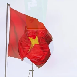 Bộ vật phẩm Tiền Phong Half Marathon: Ghi dấu hành trình xanh