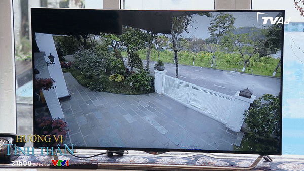 Gia đình giám đốc Long (Mạnh Trường) hoảng loạn vì bà Dần phát bệnh Alzheimer Gia đình giám đốc Long (Mạnh Trường) hoảng loạn vì bà Dần phát bệnh Alzheimer