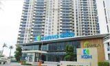 Vì sao đua nhau mua cổ phiếu bất động sản?
