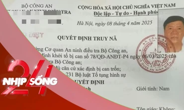 NHỊP SỐNG 24: Vụ truy nã Chủ tịch Tổng Công ty Cây xanh Công Minh: Hé lộ thủ đoạn để trúng hàng trăm gói thầu