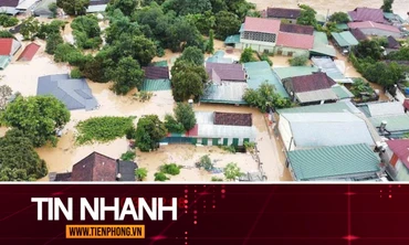 TIN NHANH: Cảnh báo sau bão số 3; Con trai giấu thi thể mẹ suốt 10 năm 