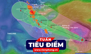 TIÊU ĐIỂM: Diễn biến mới bão số 10; Mẹ giấu thi thể con gái trong tủ đông suốt hai thập kỉ 