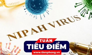 TIÊU ĐIỂM: Vì sao virus Nipah lây nhiễm thấp nhưng tỉ lệ tử vong có thể lên tới 75%