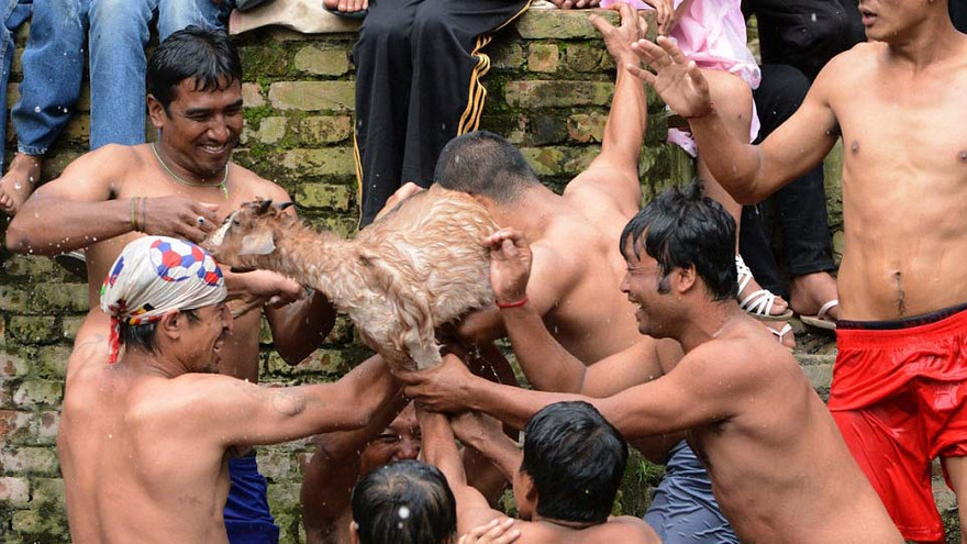 Chín thanh niên trai tráng vây quanh xé nát con dê còn sống trong lễ hội