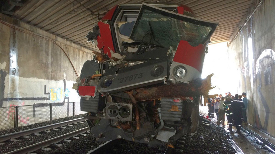 Đầu con tàu vỡ nát vì đâm vào cây đổ