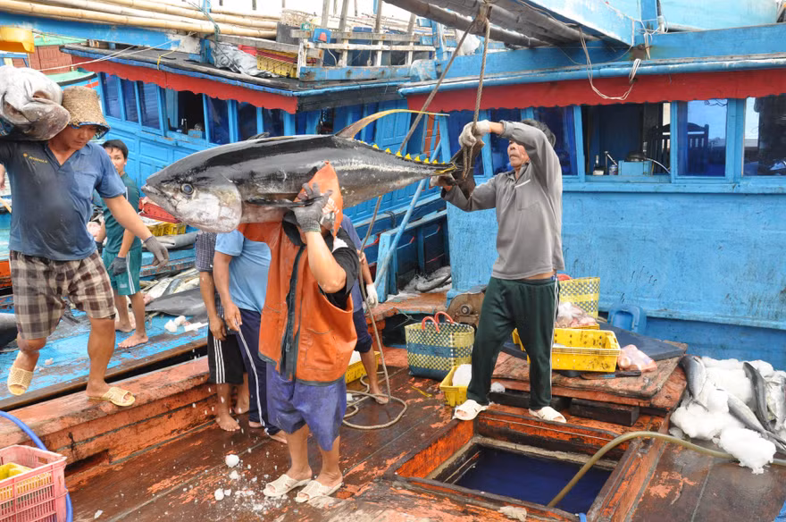 Bộ NN&PTNT đã ban hành Thông tư 13, sửa đổi những điểm chưa phù hợp, bất cập trong Thông tư 21, hiệu lực kể từ ngày 25/12 tới.