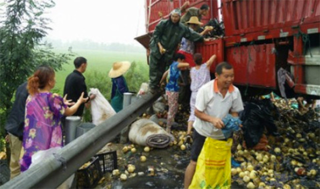 Người dân tranh nhau "hôi của"