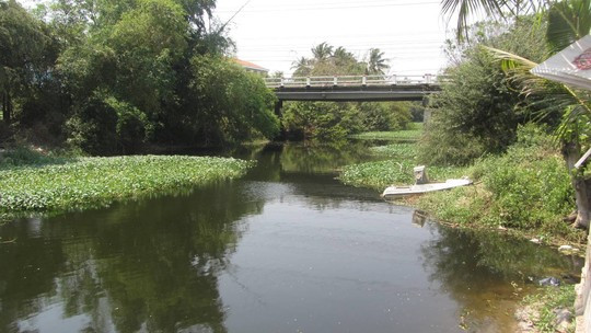 Buồn buồn, nhảy cầu tự tử