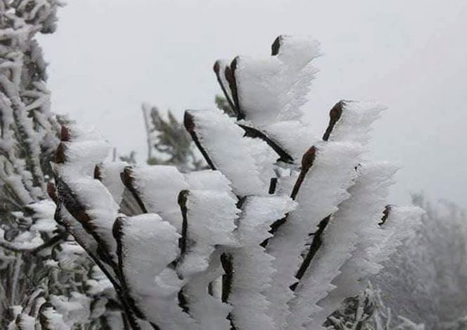 Miền Bắc sẽ tiếp tục chịu 3-5 đợt không khí lạnh trong tháng 1, một số vùng núi cao sẽ có băng giá, mưa tuyết