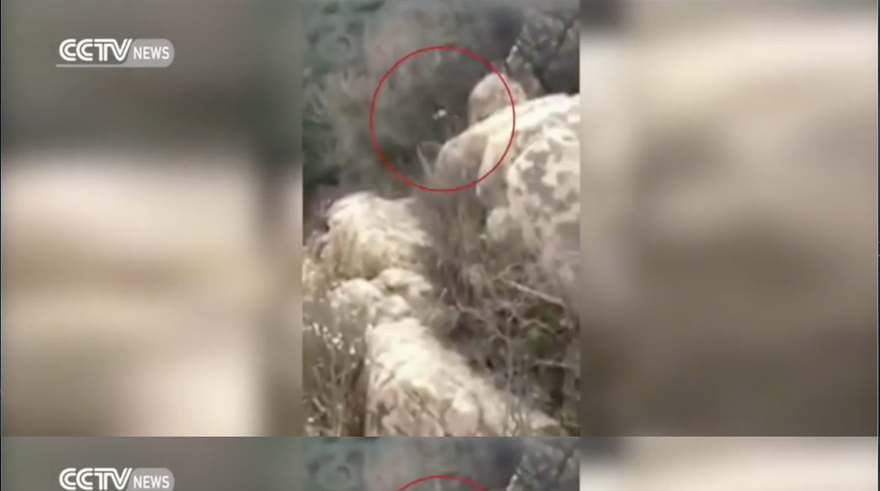 Nạn nhân (khoanh đỏ) may mắn thoát chết