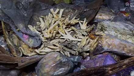 Chân gà thối bị thu giữ ở tỉnh Hồ Nam, Trung Quốc