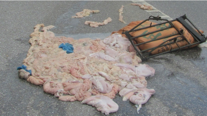 Nầm lợn thối tung toé ra đường 