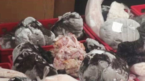 Số thịt đông lạnh từ thập niên 80 bị lực lượng chức năng Romania bắt giữ