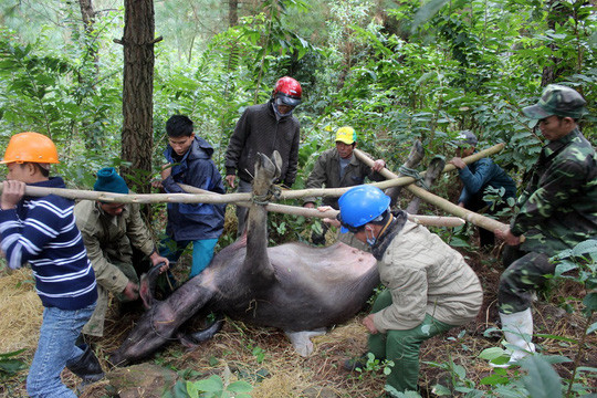 Ban chỉ đạo Trung ương về Phòng chống thiên tai đề nghị Thừa Thiên-Huế tổ chức đoàn công tác đốc thúc công tác phòng chống rét cho vật nuôi, cây trồng ở huyện A Lưới.