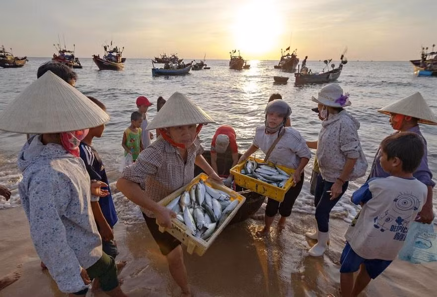 Ngư dân 4 tỉnh miền Trung bị sự cố môi trường sẽ được hỗ trợ để đóng 400 tàu cá đánh bắt xa bờ