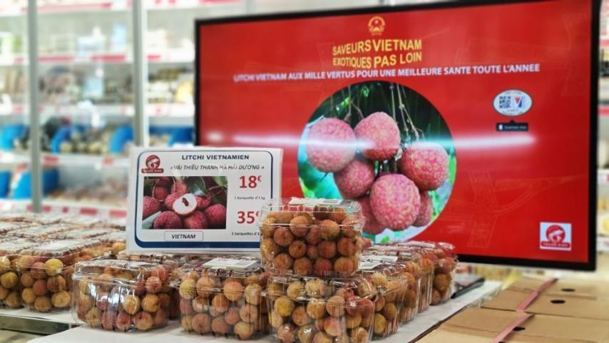 Vải thiều Thanh Hà của Việt Nam bán tại hệ thống siêu thị Á Châu tại Paris có giá tới 18 euro/kg, tương đương 485.000 đồng/kg nhưng vẫn đắt hàng