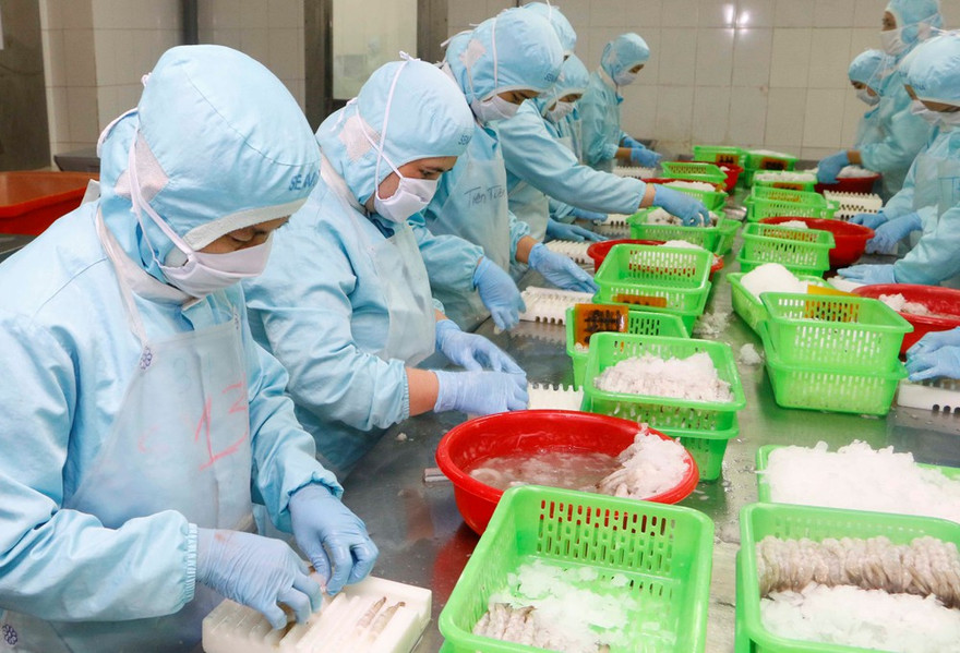 áo cáo ngày 15/1/2021 của Cơ quan Đại diện Thương mại Hoa Kỳ (USTR) hoàn toàn không đề cập, hoặc đề xuất việc Chính phủ Hoa Kỳ áp thuế hoặc sử dụng các biện pháp trừng phạt đối với hàng hóa xuất khẩu của Việt Nam